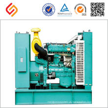 weifang 30hp gerador diesel pequeno